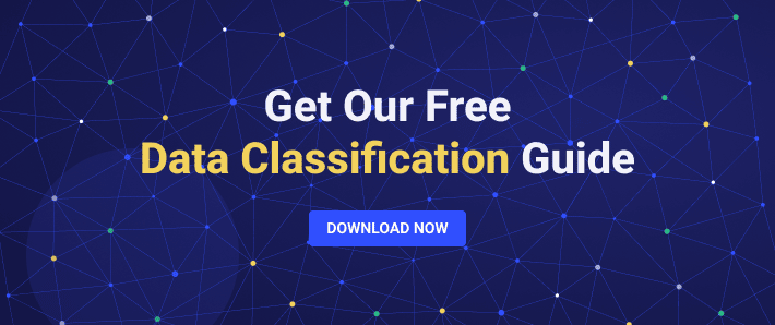 Get Our Free Data Classification Guide