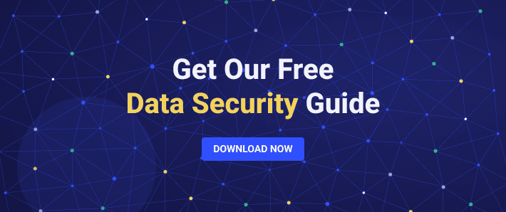 Get Our Free Data Security Guide