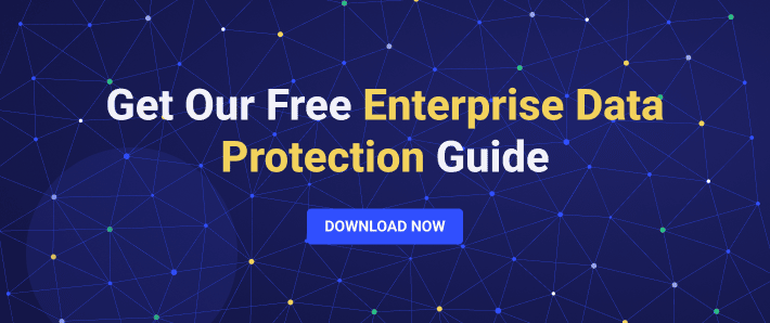 Get Our Free Enterprise Data Protection Guide